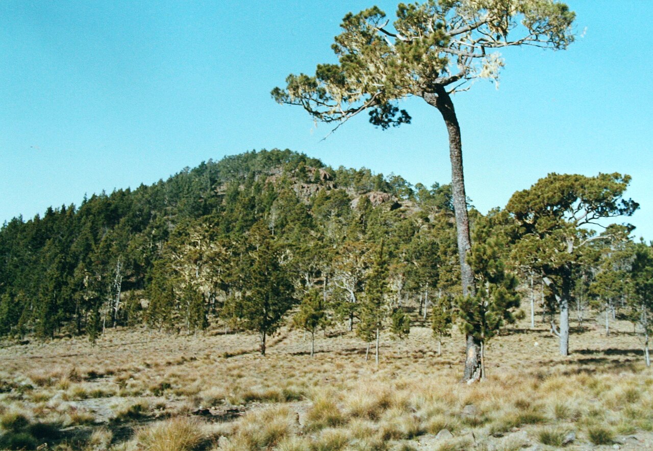 Pico Duarte mountain